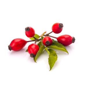 Rosehip Rosehip