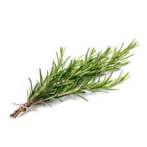 Rosemary Rosemary